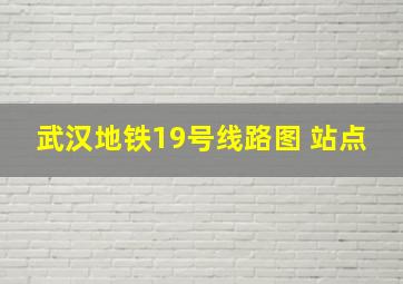 武汉地铁19号线路图 站点